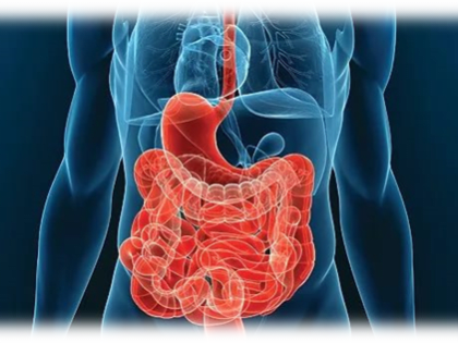 С 21 по 27 августа 2023 стартует Неделя профилактики заболеваний ЖКТ.