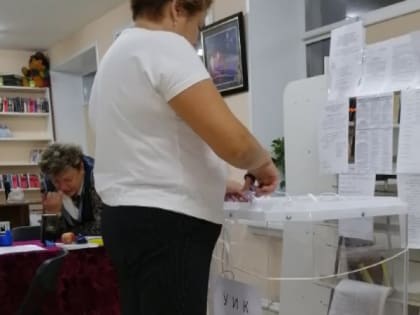 За первый день выборов во Владимирской области проголосовало около 7 процентов избирателей