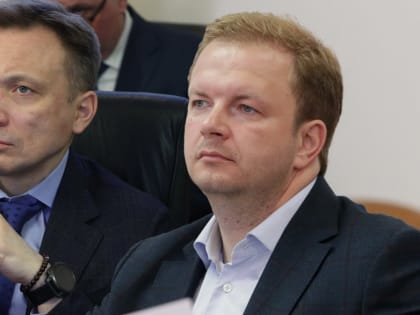 Некоторые депутаты Госдумы от Владимирской области решили добровольно отчитаться о доходах