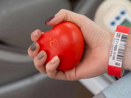 Владимирским донорам рассказали, какими льготами и привилегиями они могут воспользоваться