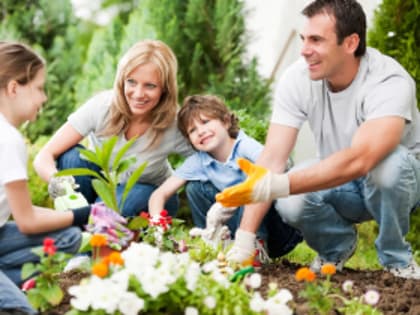 Приглашаем принять участие в областной акции «Альбом семейных традиций»