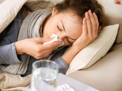 С начала эпидсезона во Владимирской области выявили 62 случая гриппа A(H3N2)