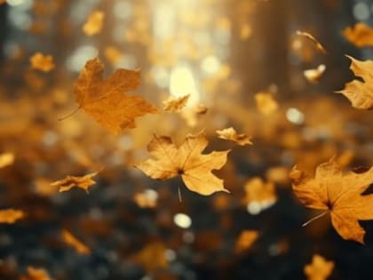 Владимирские синоптики рассказали о предстоящей погоде