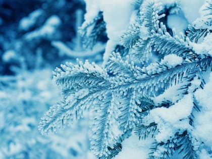 Во Владимирской области ожидается мороз до -26 градусов