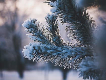 Роспотребнадзор предупреждает о рисках получения обморожения в связи с аномальными морозами