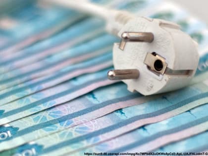 Многодетные родители задолжали за свет и требуют от чиновников оплатить этот долг