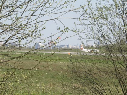 Отсрочки не будет. Владимирским дачникам не дадут собрать урожай на участках возле аэродрома «Семязино»