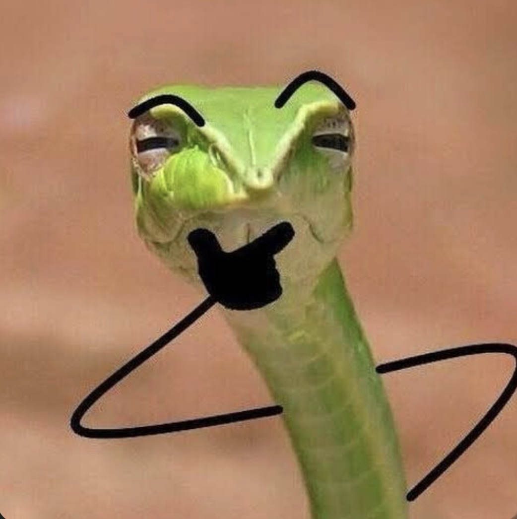 vinesnakememe.jpg