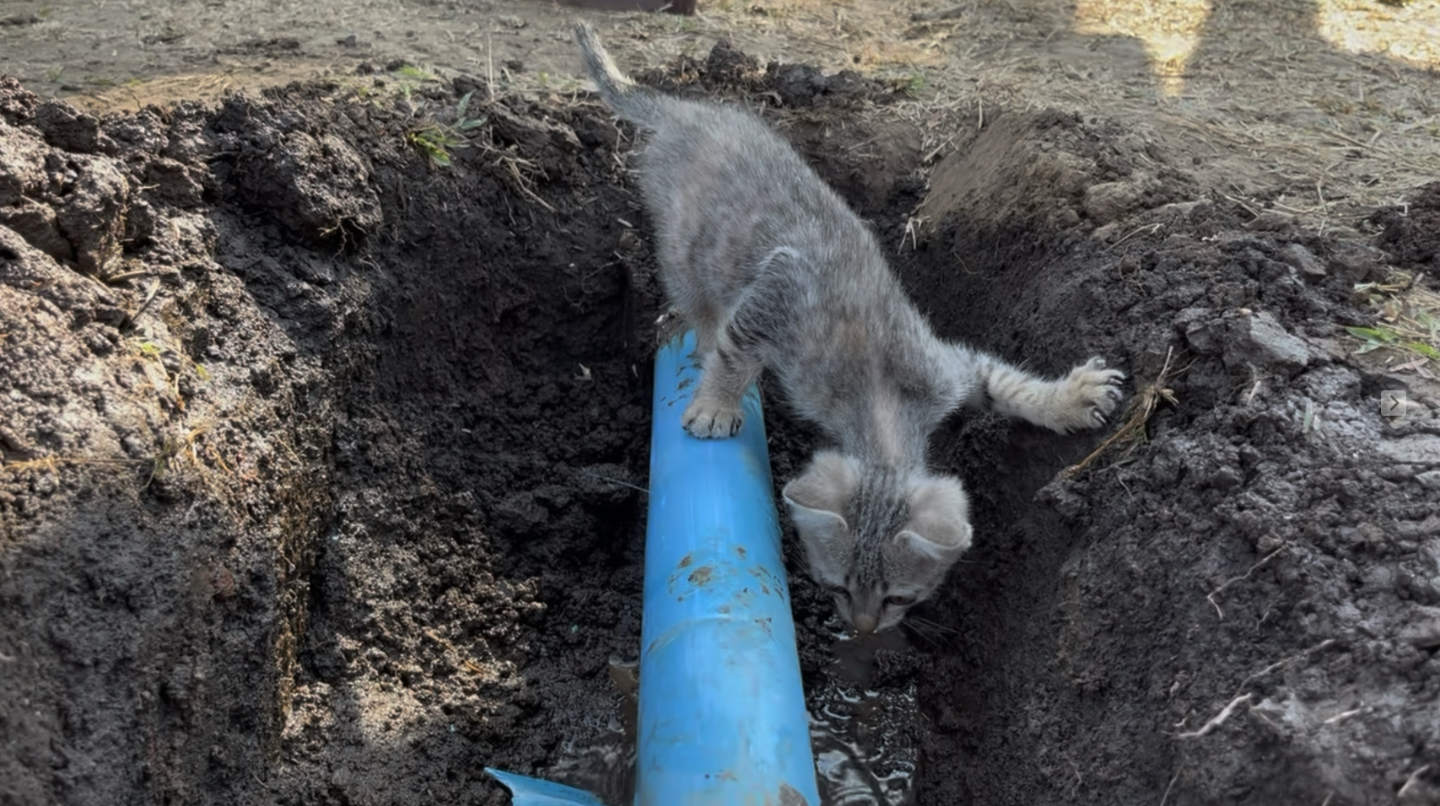 broken-pipe-digged-out.jpg