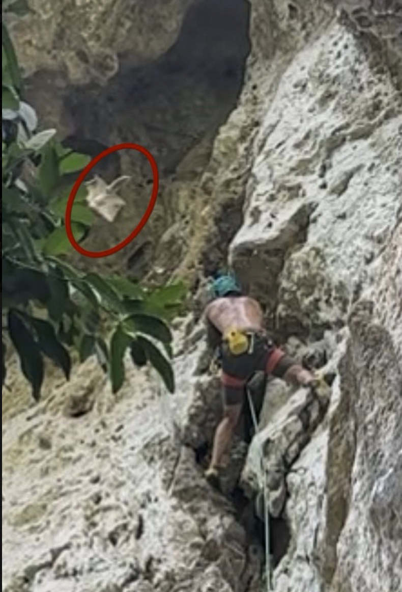 climber-encounter-squirrel.jpg