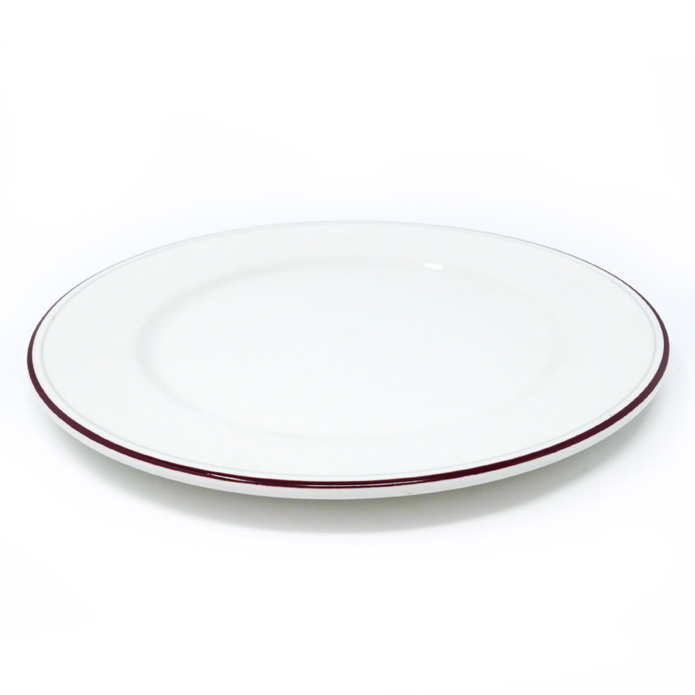 Assiette plate Dudson - 10 po · 24/caisse — image 3
