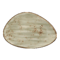 Assiette organique Steelite 1131-0501