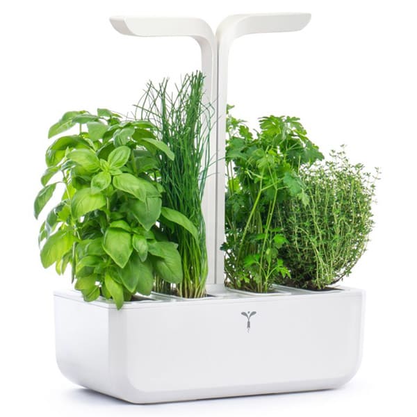 VÉRITABLE® CLASSIC EDITION - Potager d'intérieur