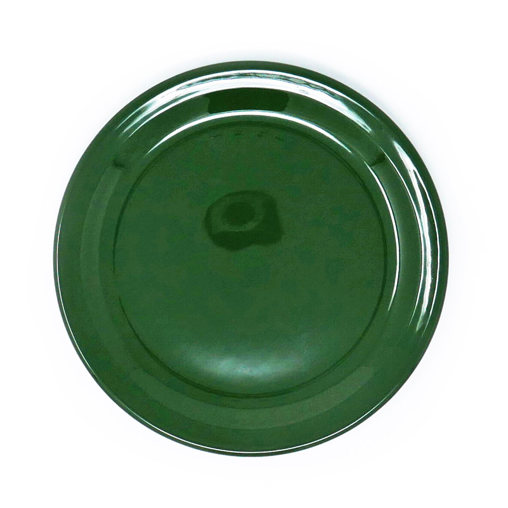 Assiette plate Dudson Paintbox Dark green - 7 po · 36/caisse