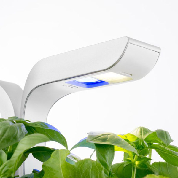 VÉRITABLE® CLASSIC EDITION - Potager d'intérieur — image 3
