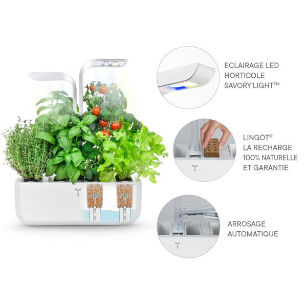 VÉRITABLE® CLASSIC EDITION - Potager d'intérieur — image 4