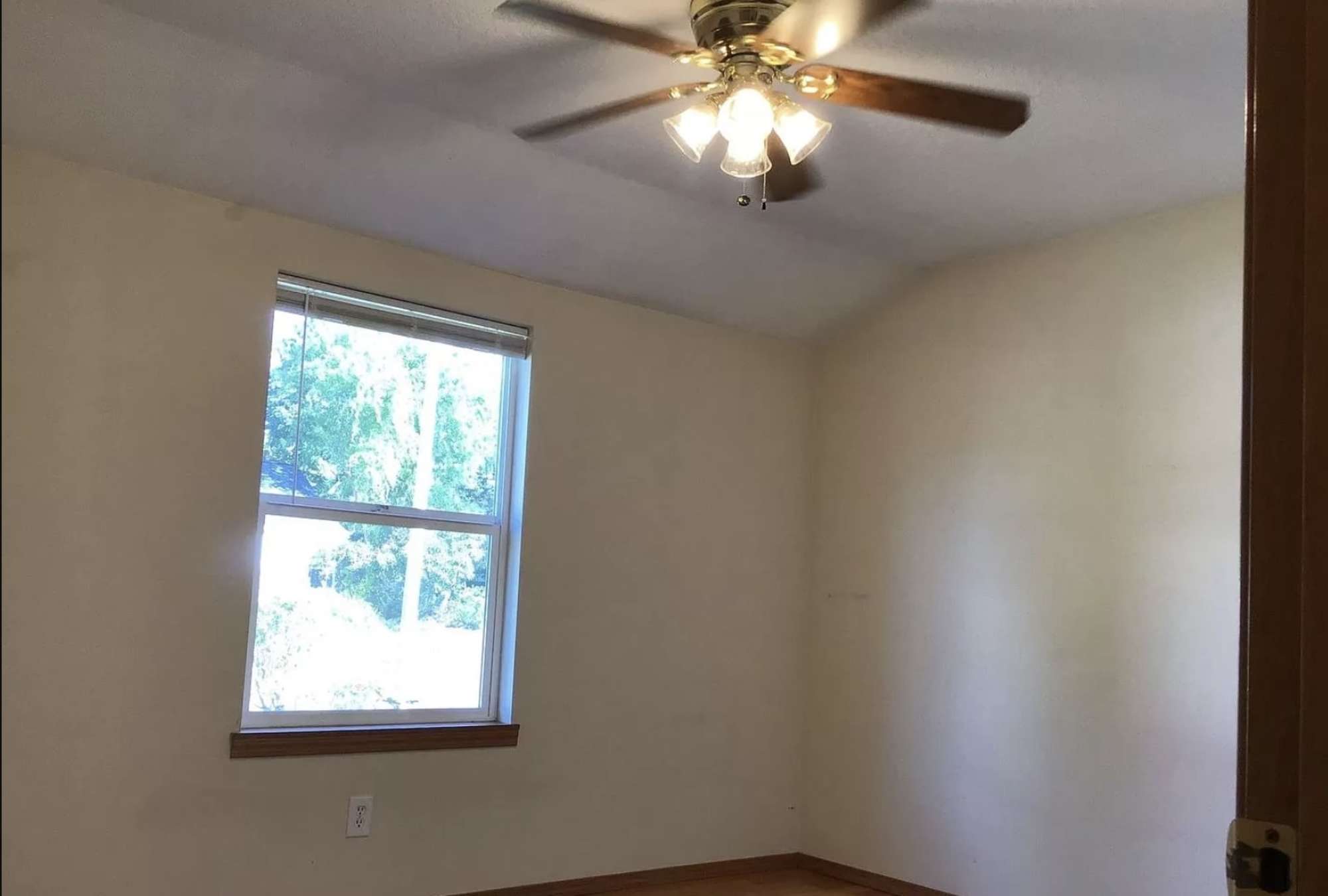ceiling fan and two windows for great air flow.