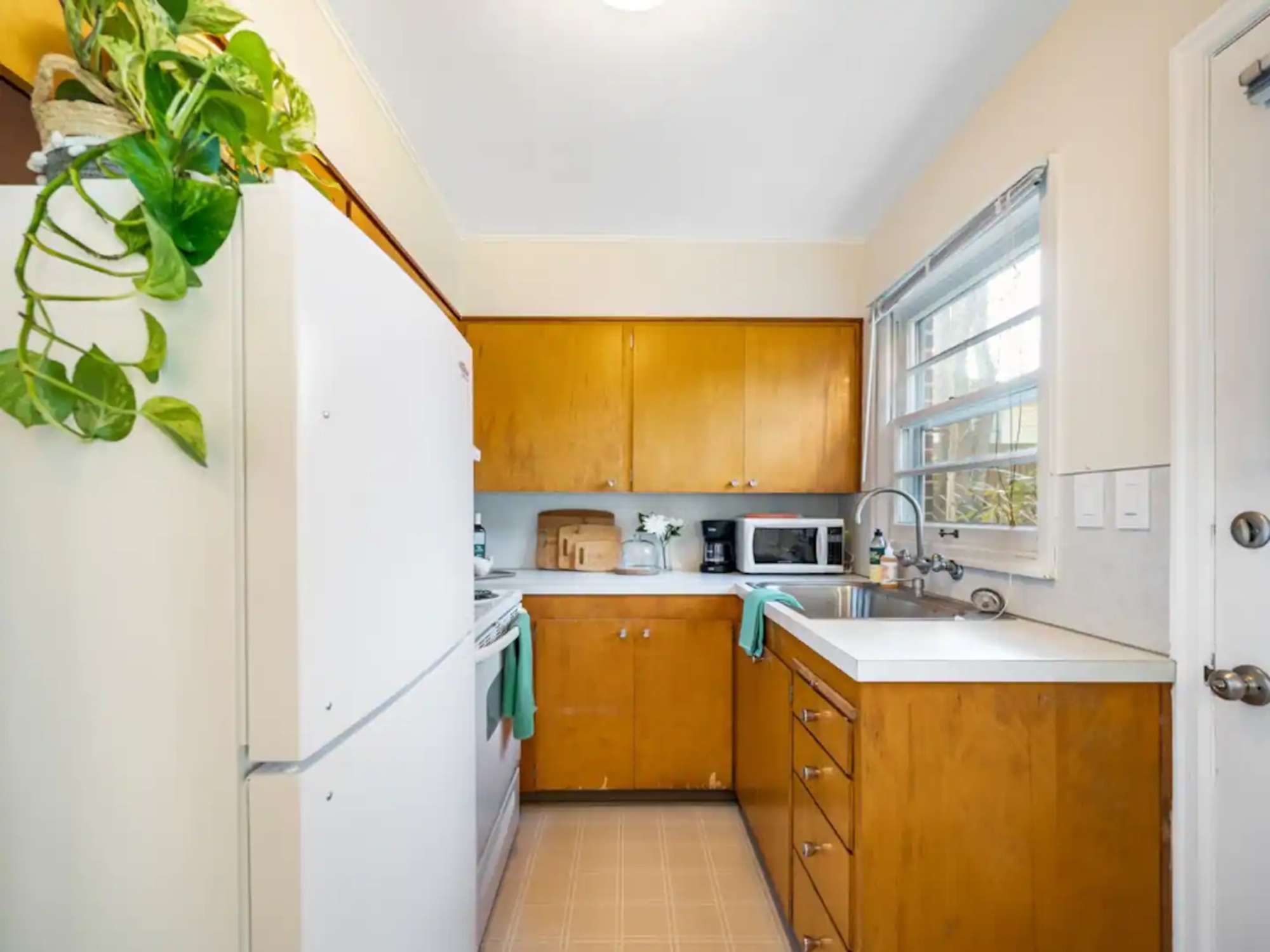 thumbnail view of a listing photo