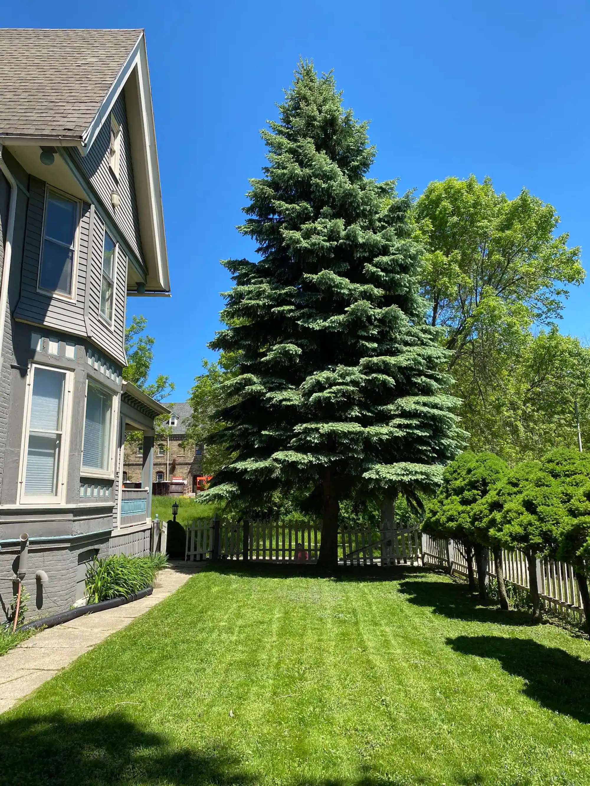 thumbnail view of a listing photo