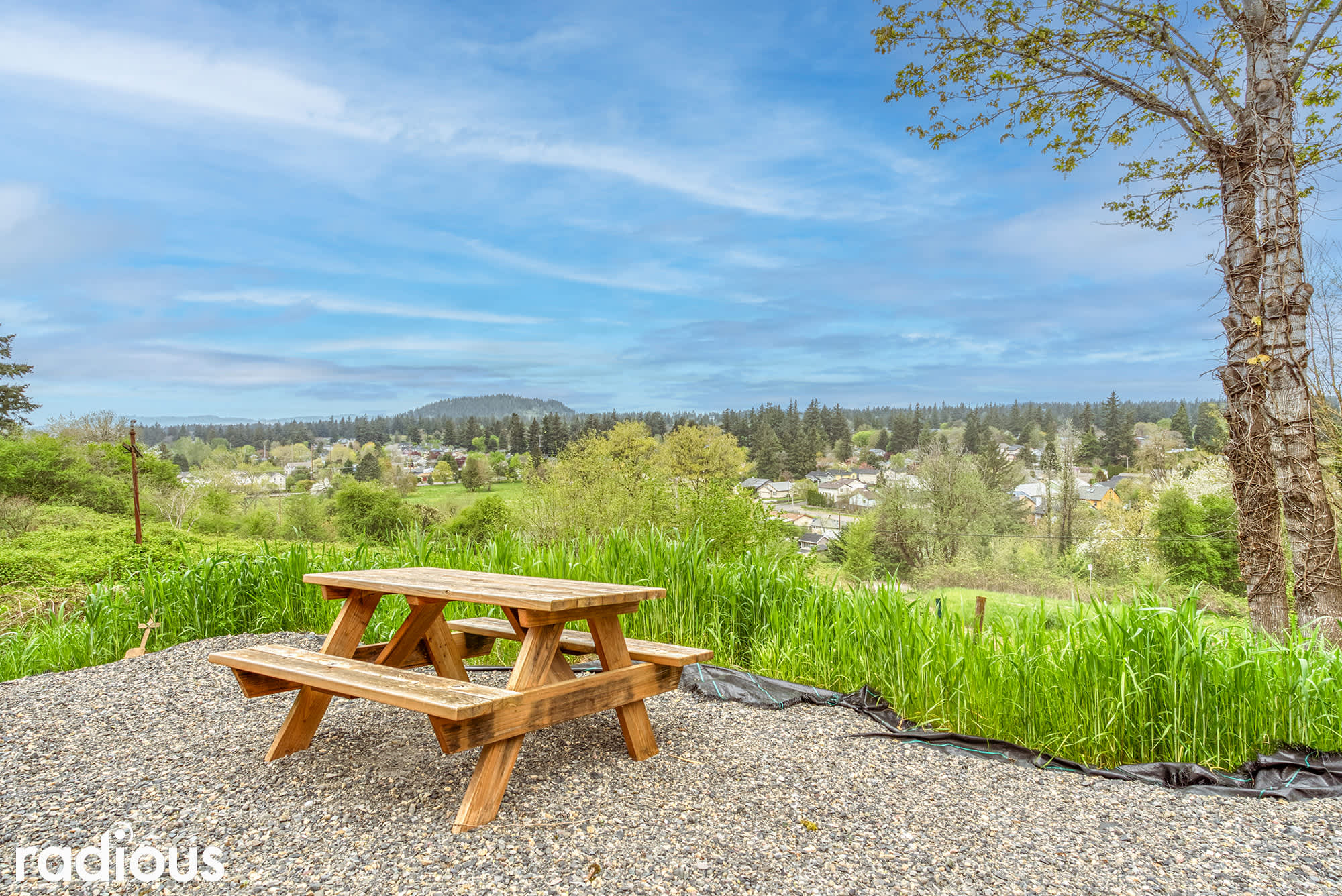 Picnic panorama of Kelly Butte 