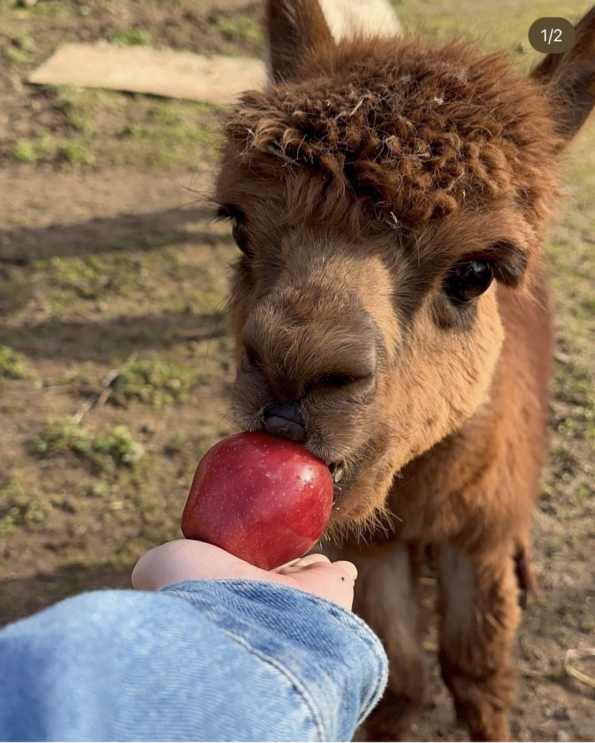 snack time
