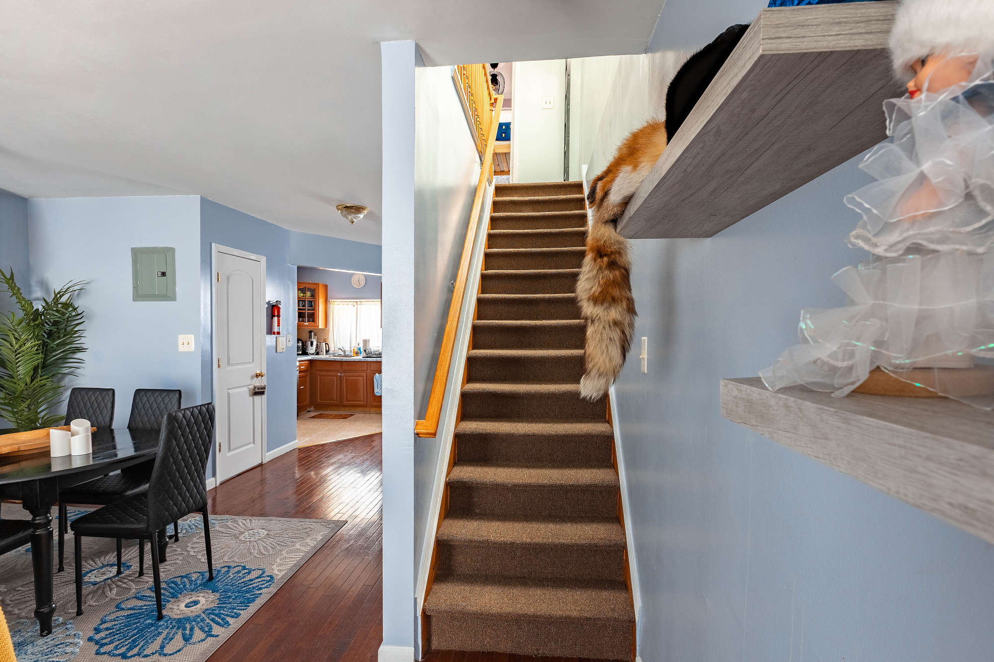 thumbnail view of a listing photo