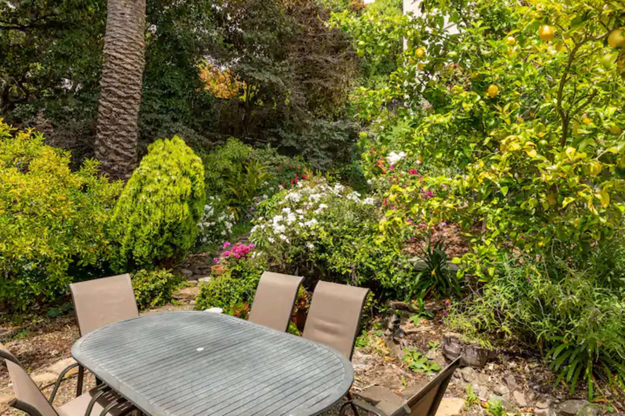 thumbnail view of a listing photo