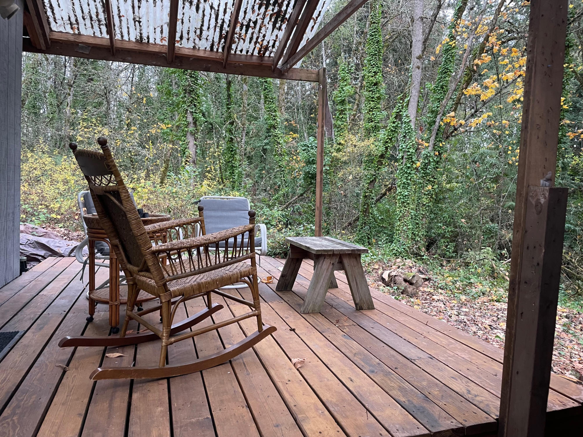 Take a break on the deck in the woods right outside the office!