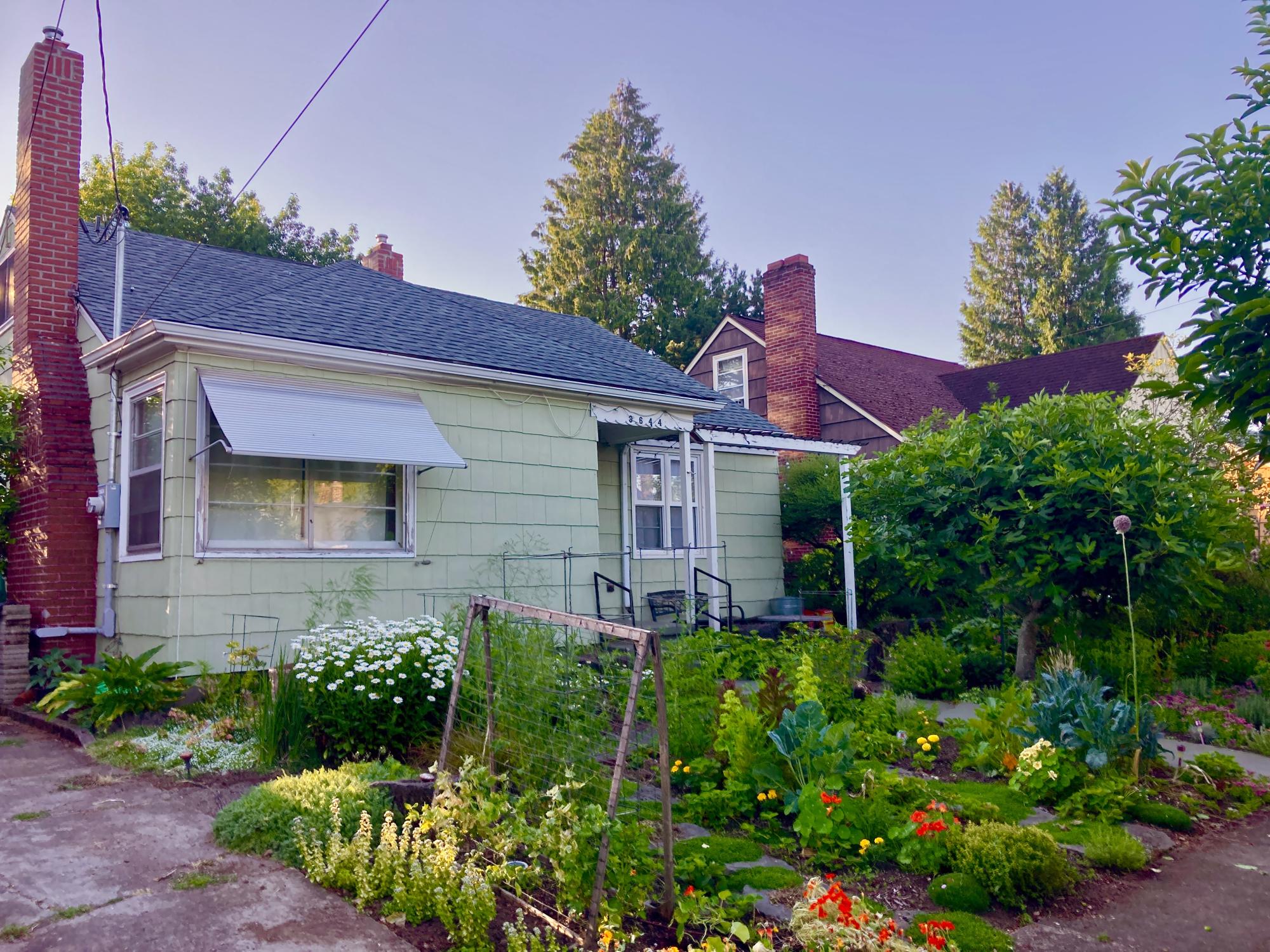 Front yard: help yourself to the veggie garden!