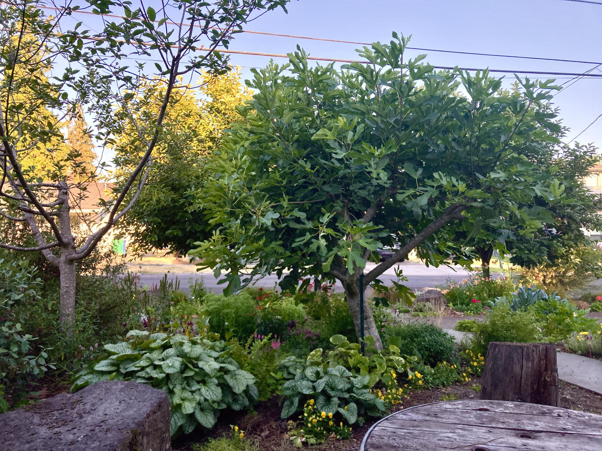 Front patio seats 5