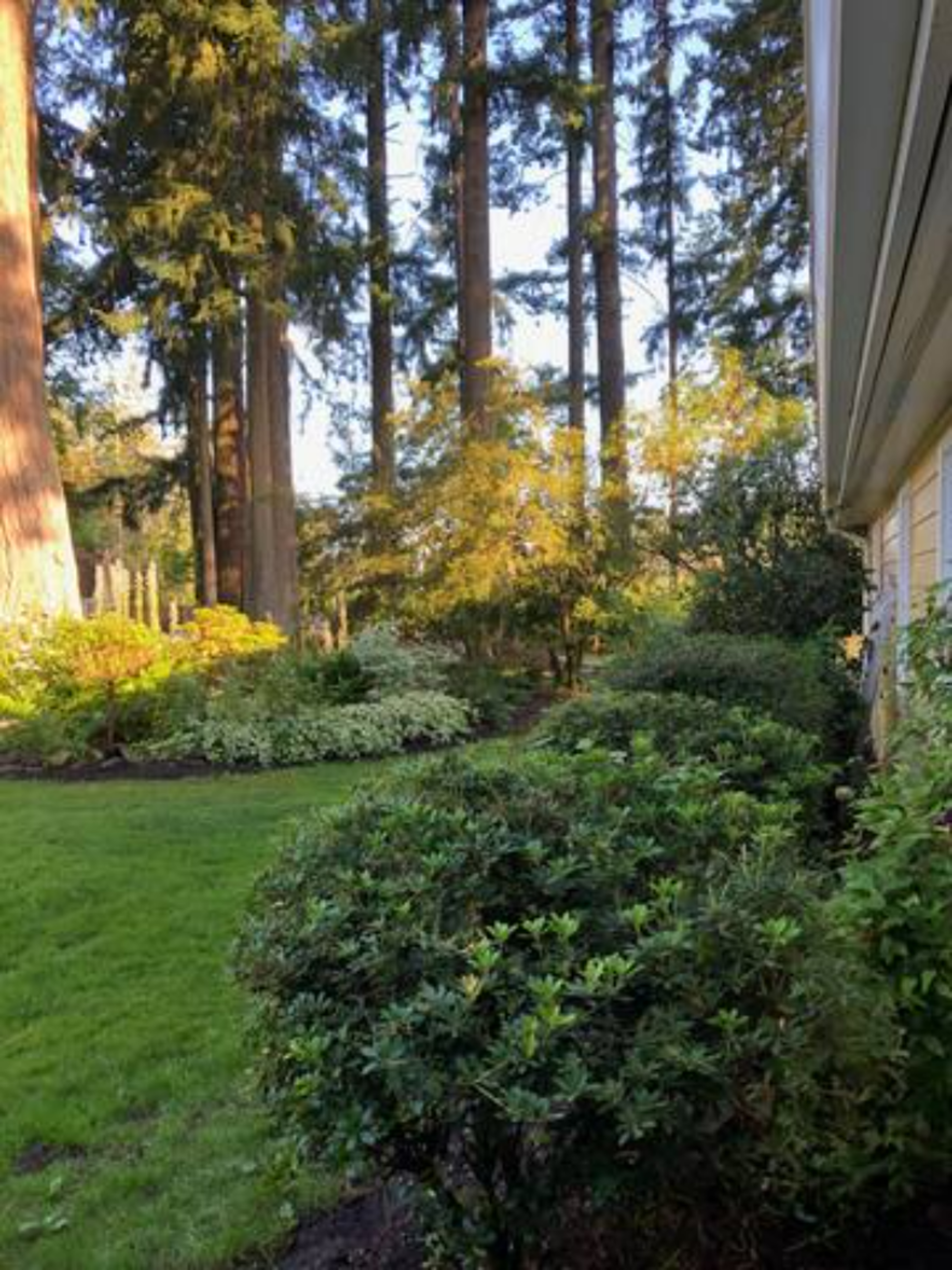 Landscaped yard and gardens