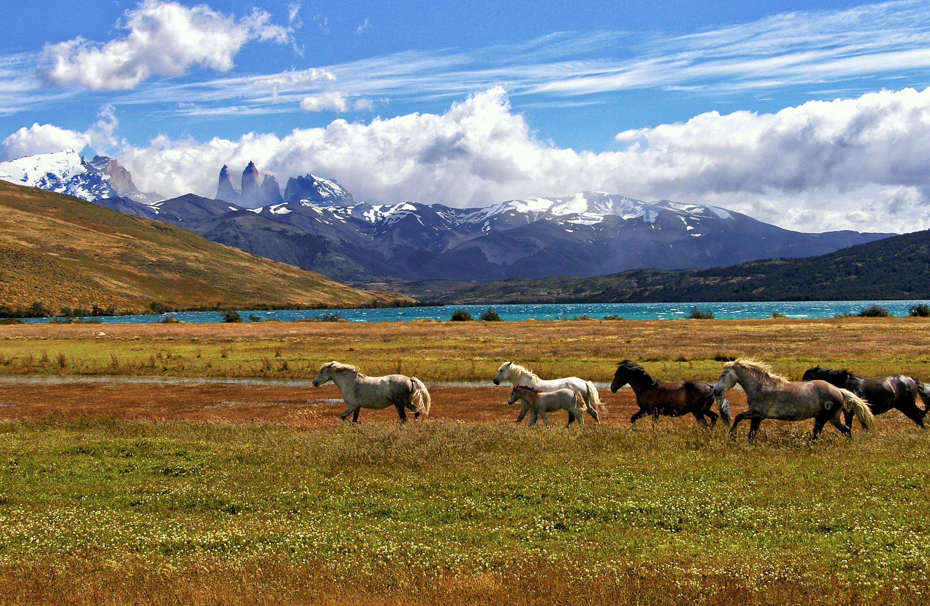 Foto de Punta Arenas - Chile