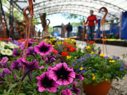 В Краснодаре пройдёт ярмарка «Осень на даче»