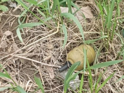 Во дворе краснодарской многоэтажки нашли гранату