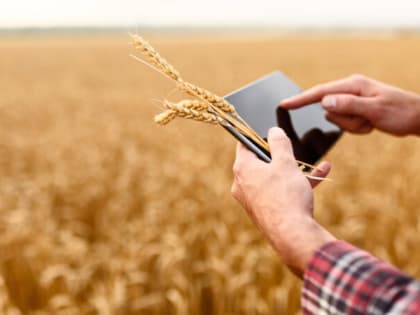 Средняя заработная плата в организациях АПК