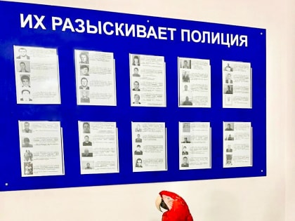 На курорте  работает межведомственная комиссия по борьбе с фотографами-живодерами