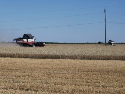 Кубанское сельскохозяйственное предприятие будет внедрять инструменты бережливого производства