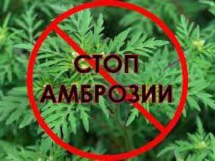 Внимание жителей станицы Новопокровской!