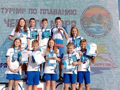 Осенний турнир по плаванию: успехи воспитанников спортивной школы «Дельфин»