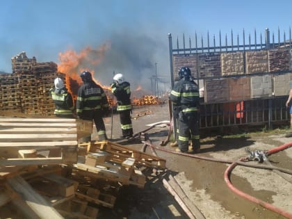 Крупный пожар в пригороде Краснодара локализован на площади 1500 кв.м. (видео)