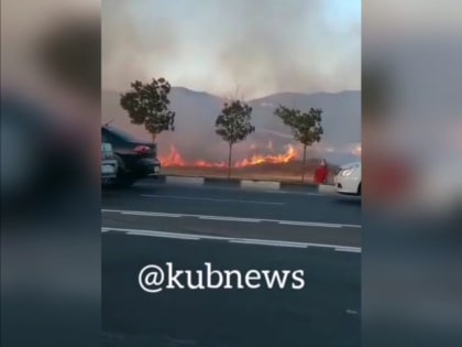 В Новороссийске на Малой земле тушат пожар