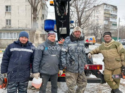 Деревья в Новороссийске не выдерживают норд-оста и падают, а люди на ветру держатся, работают