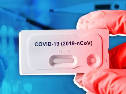 В Сочи за сутки выявлены 13 новых случаев COVID 19, в регионе — 447