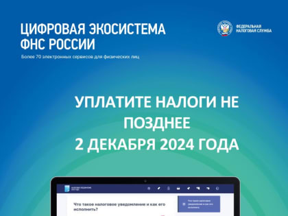 Бесплатное обучение для граждан в рамках федерального проекта