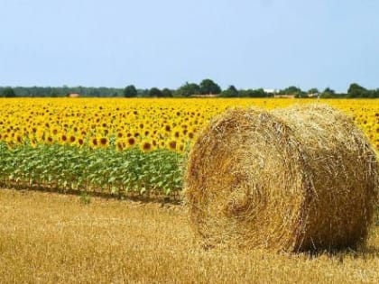 События дня в городе