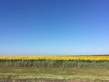 Осень на Кубани: первые признаки и прогнозы погоды