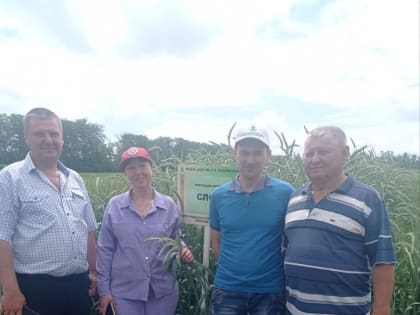 Делегация района приняла участие в "Дне поля"