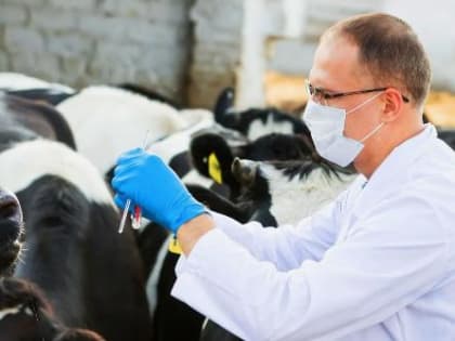 Уважаемые работники государственной ветеринарной службы, ветеринарные работники сельхозпредприятий и перерабатывающей промышленности, ветеринарных клиник!