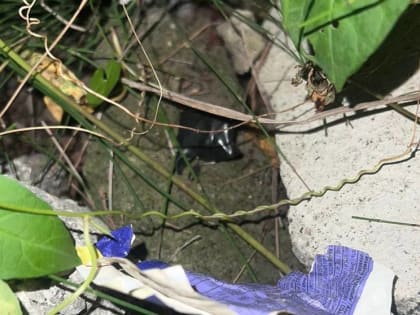 Наркотики в Нижнем Тагиле: задержание 42-летнего мужчины