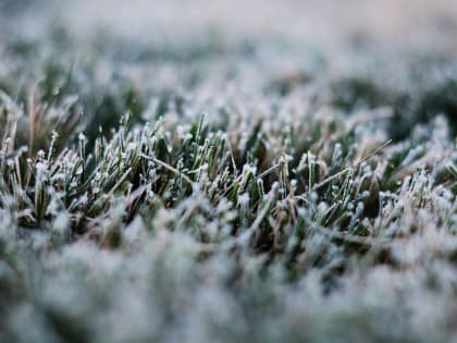 На Кубани заморозки продлятся 6 и 7 мая и даже усилятся